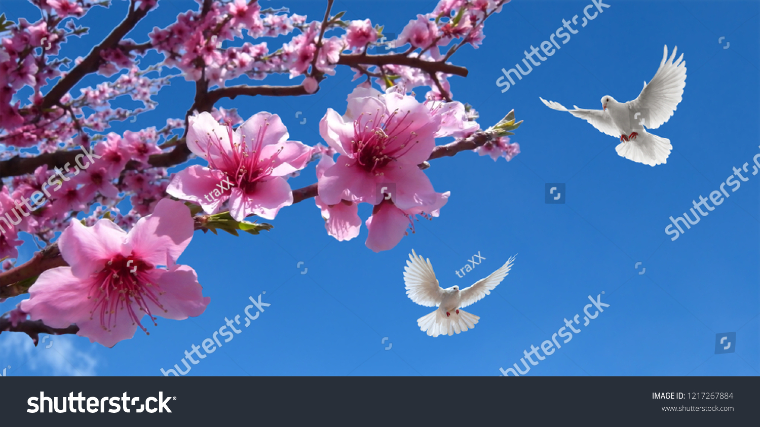 Dán trần hình hoa lá MDT-251